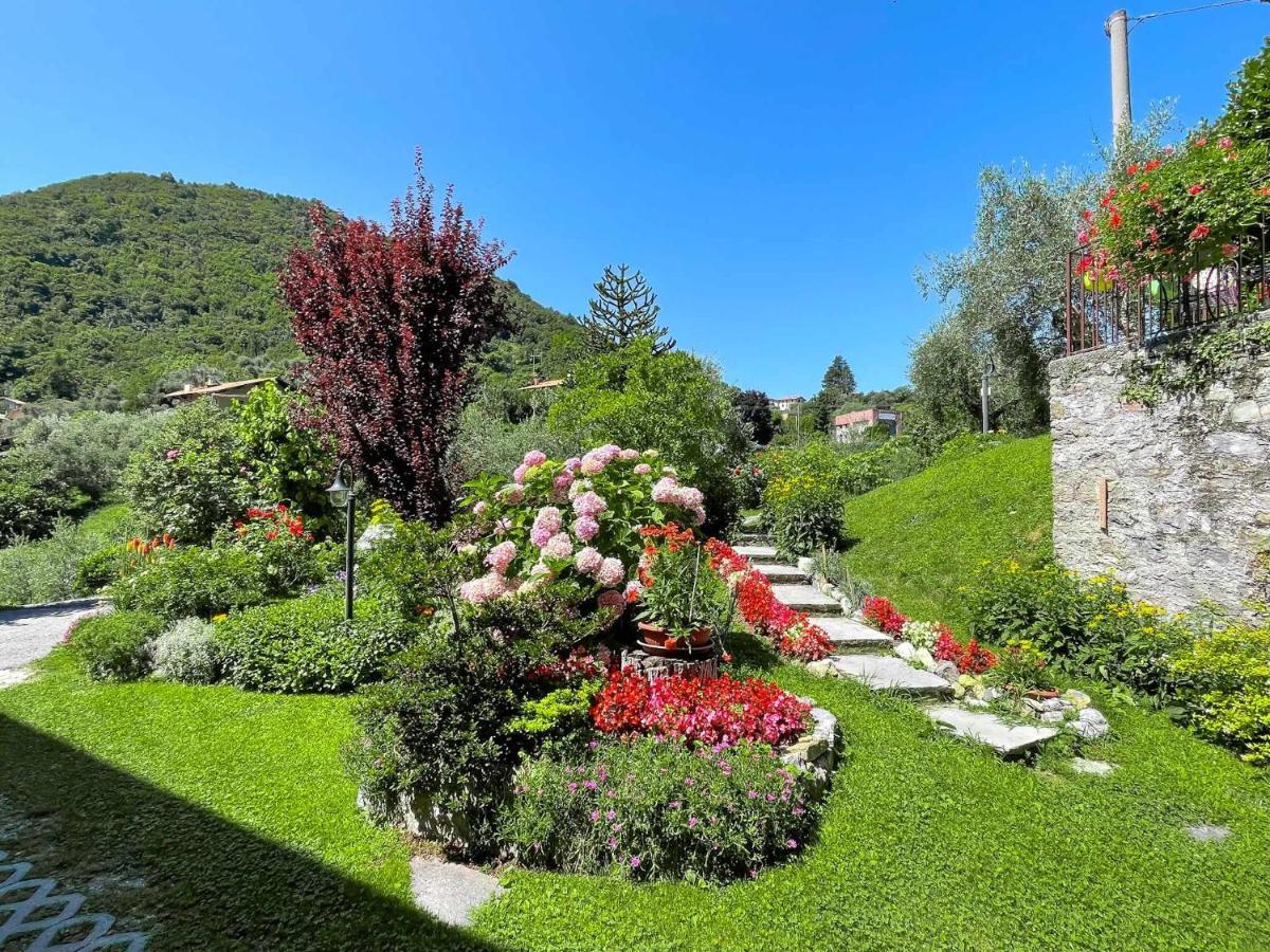 Breva Loft Tra Gli Ulivi Ed Il Lago 벨라지오 외부 사진