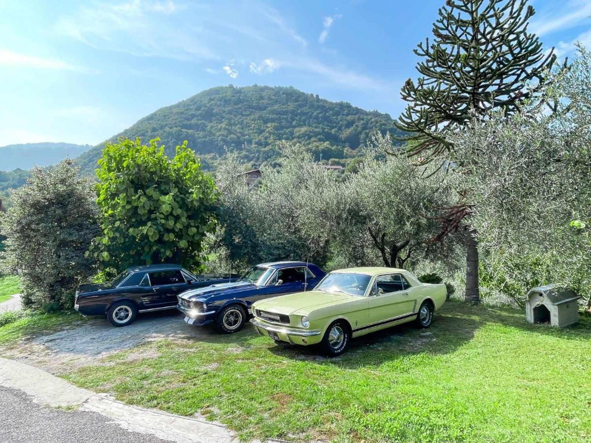 Breva Loft Tra Gli Ulivi Ed Il Lago 벨라지오 외부 사진